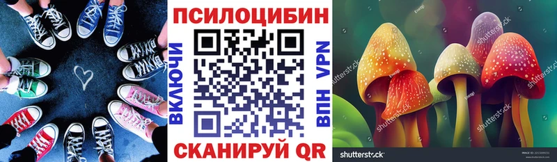 Псилоцибиновые грибы мицелий  Салаир 